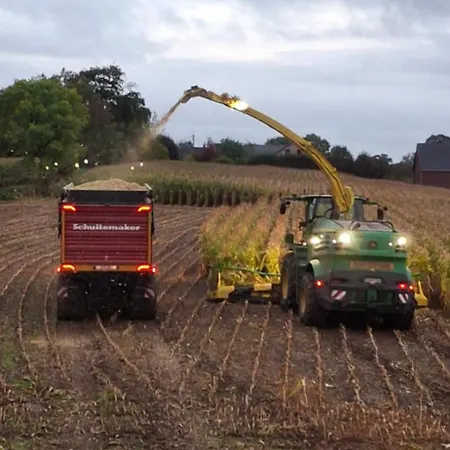 Trees Fontain * 잘헤이