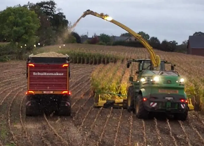 Trees Fontain * Jalhay